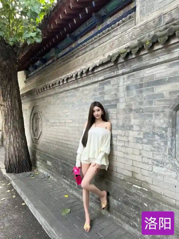 下载鸟安装数据分析